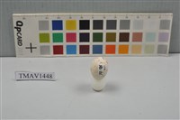小河原鶸卵藏品圖，第4張